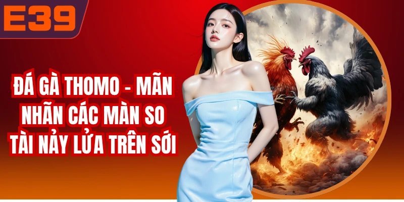Đá Gà Thomo - Mãn Nhãn Các Màn So Tài Nảy Lửa Trên Sới