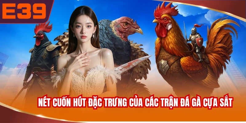 Nét cuốn hút đặc trưng của các trận đá gà cựa sắt