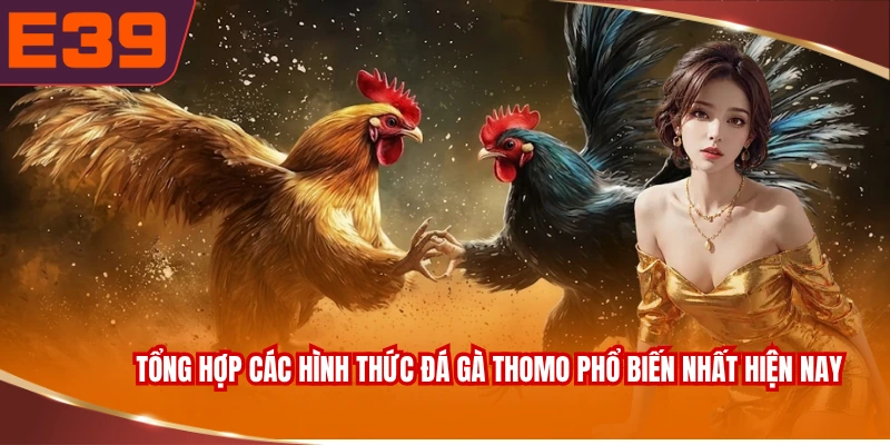 Tổng hợp các hình thức đá gà Thomo phổ biến nhất hiện nay