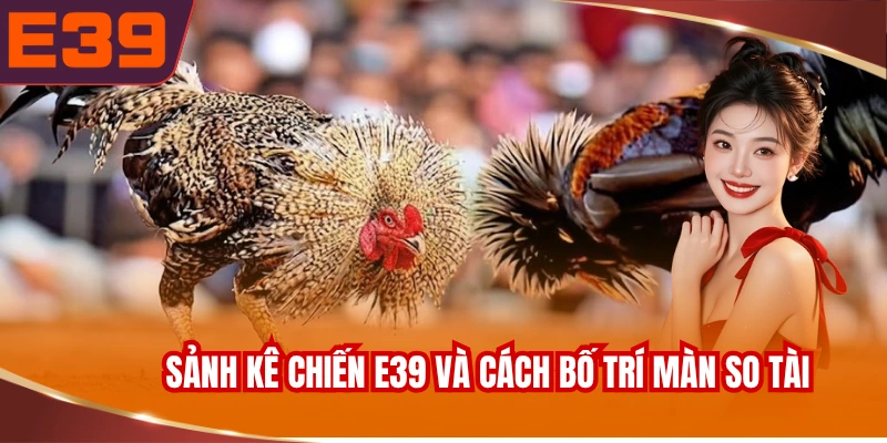 tong-quan-sanh-ke-chien-e39-va-cach-bo-tri-man-so-tai Tổng quan sảnh kê chiến E39 và cách bố trí màn so tài